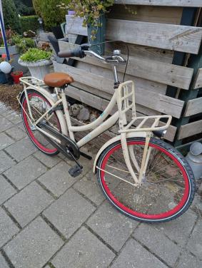 Cortina grote meiden fiets