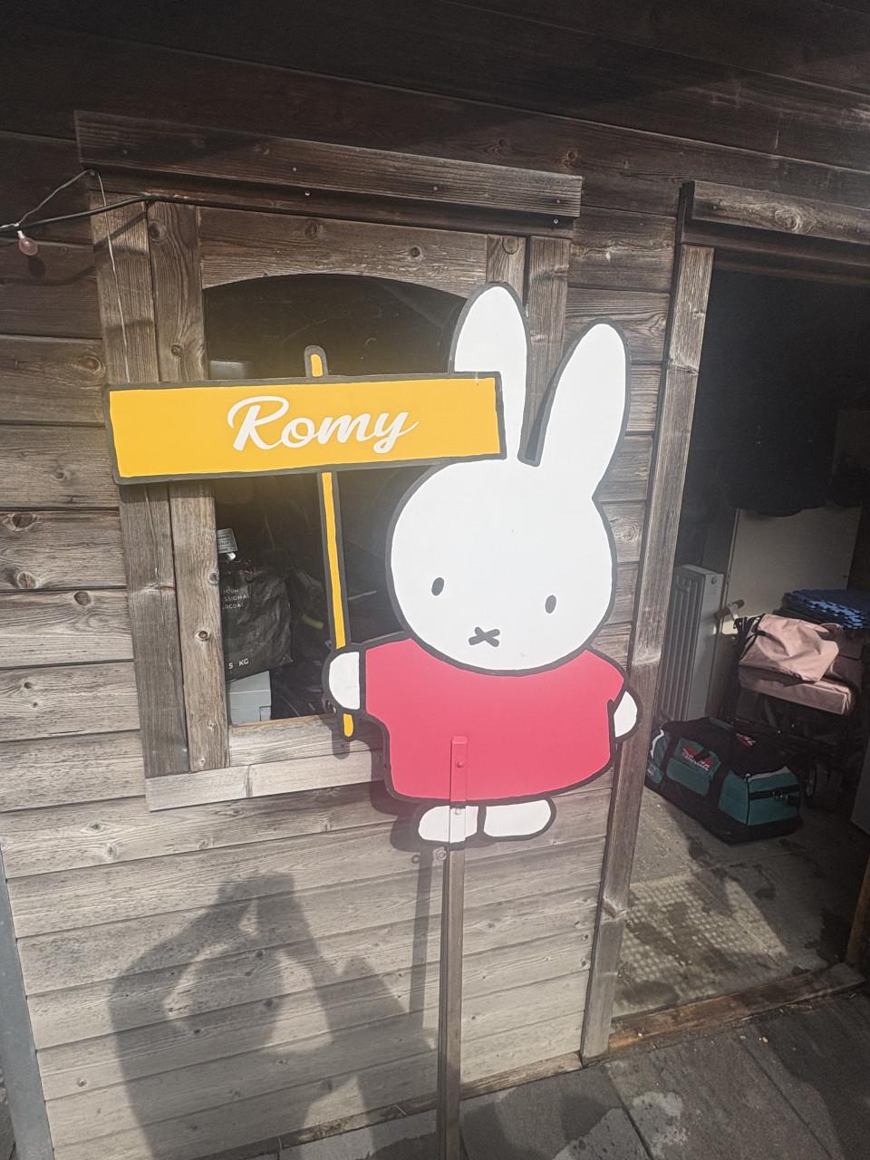 Geboorte bord Nijntje zelf gemaakt