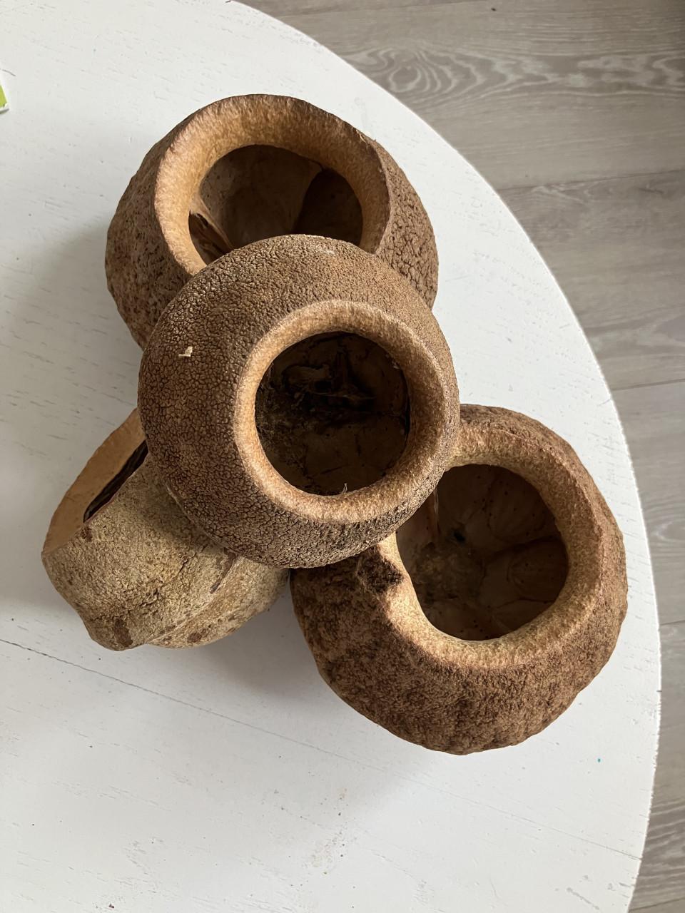 4 stuks nieuwe  Monkey pots