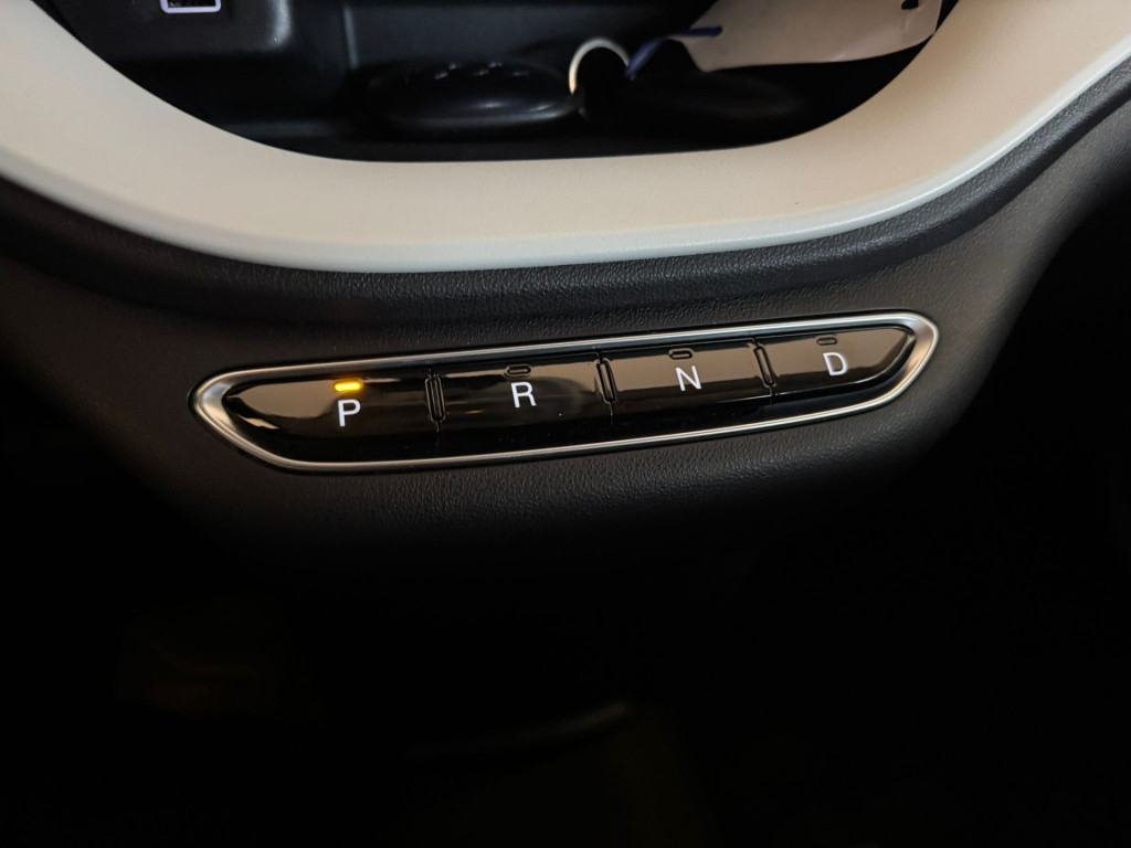 Fiat 500 action 24 kwh