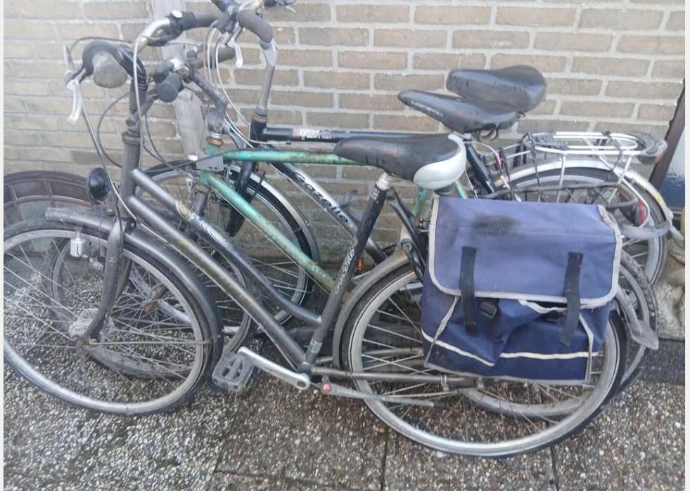 Fietsen dames & heren