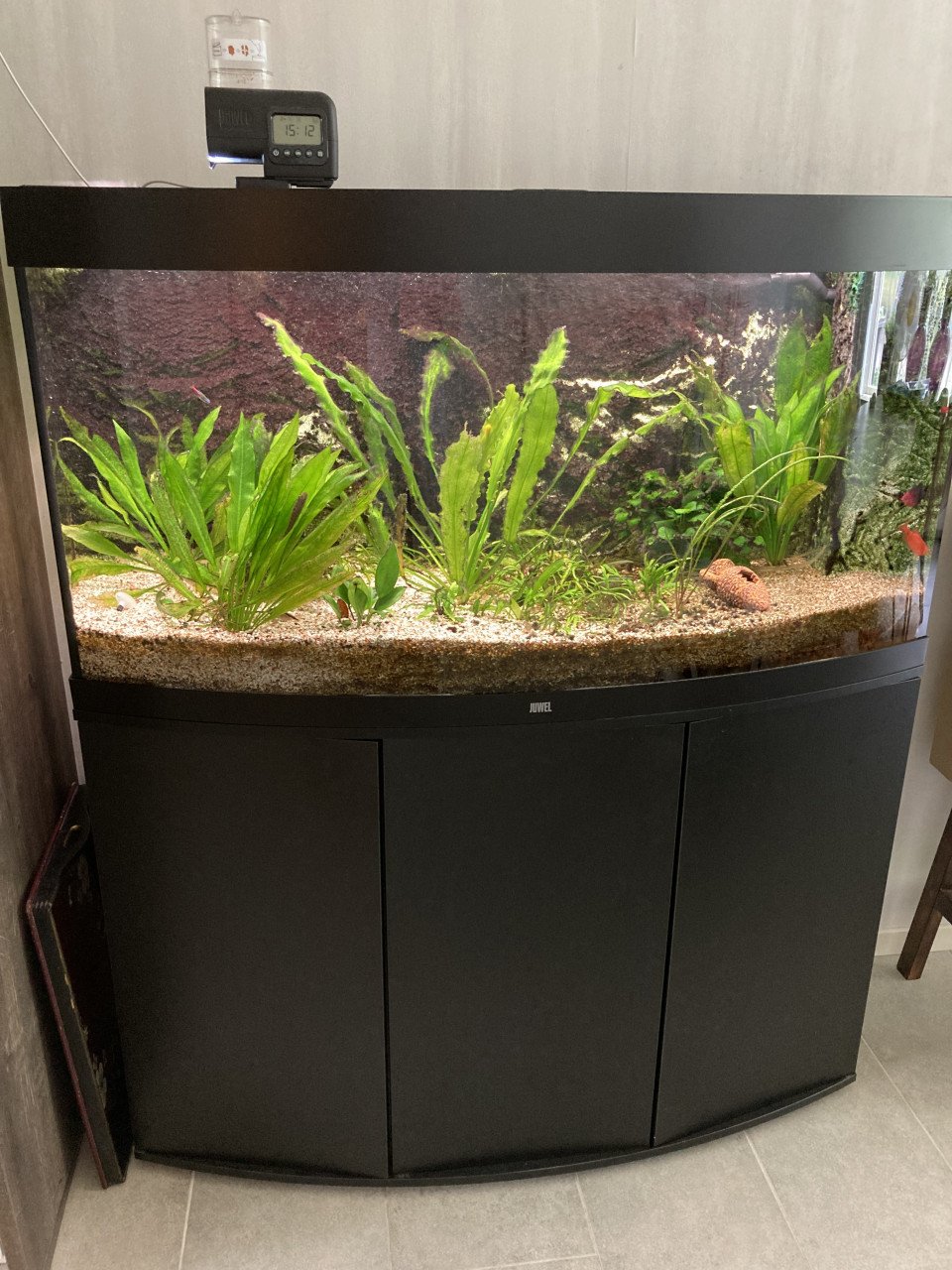 Aquarium