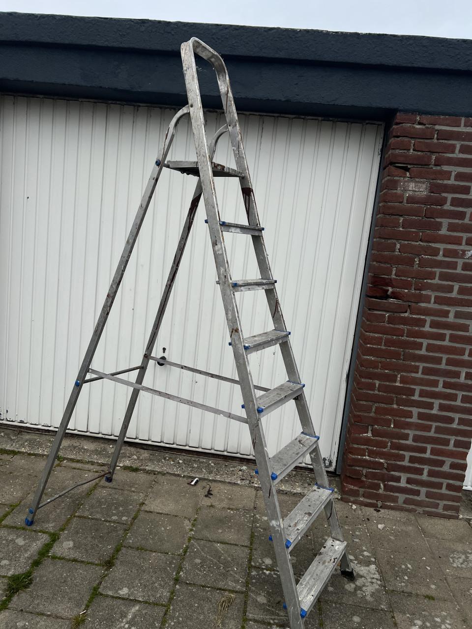 Groot aluminium (klus)Trap 8 treden