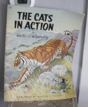 The cats in action tekenboek engelss talig