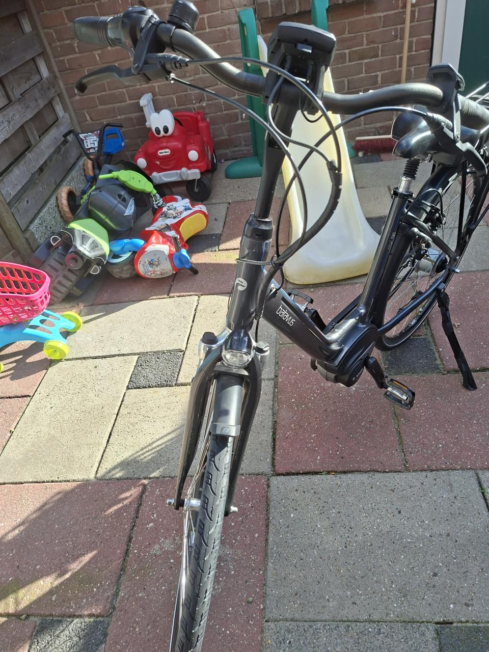 Batavus