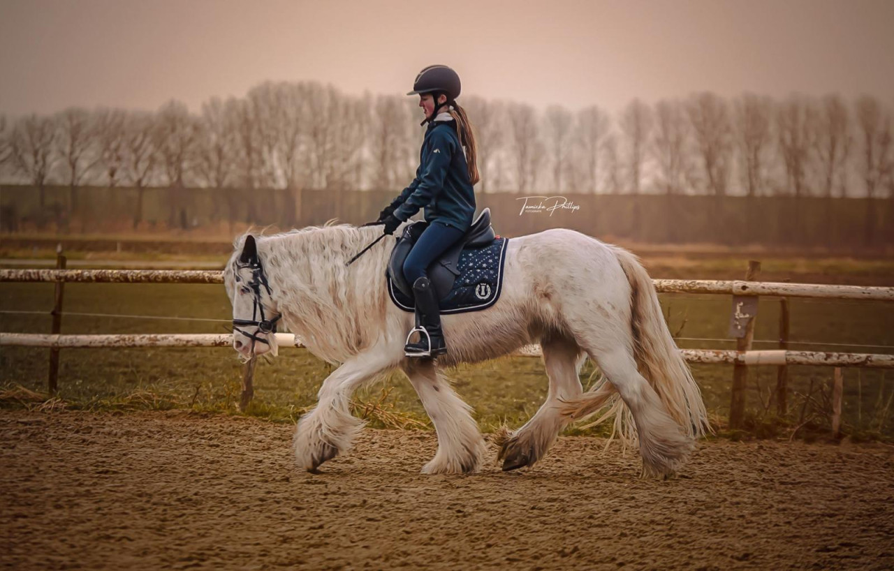 Lieve sprookjespony