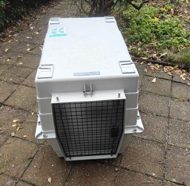 Reisbench voor honden