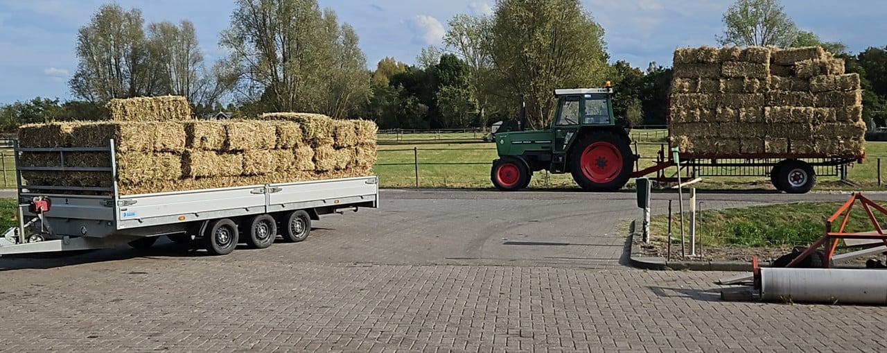 Bonenstro kleine pakjes