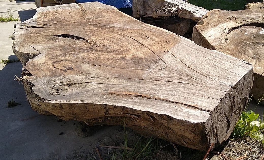 Boomstam blad 260x130 cm tussen 20 en 40 cm dik  (ongeveer 350 a 400 kg)