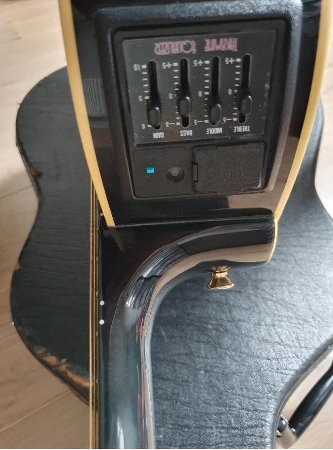 Takamine (semi) akoestische gitaar