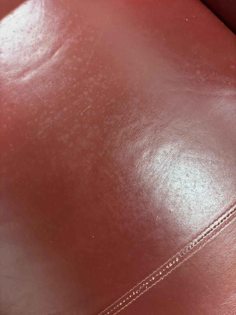 Montel Chaise lounge