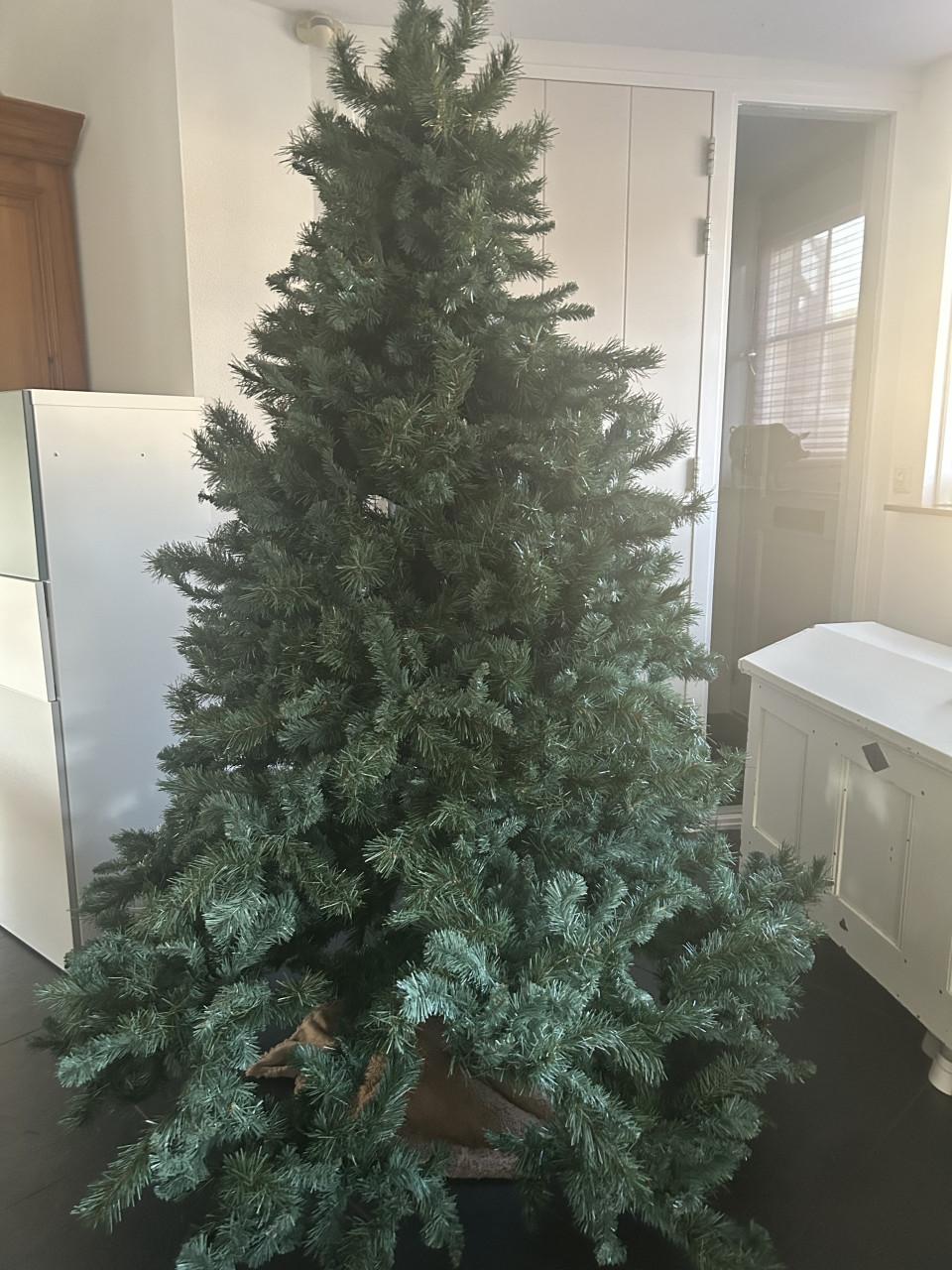 Kerstboom ong 2 meter.