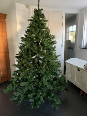 Kerstboom 2.15 m Triumph tree Intratuin