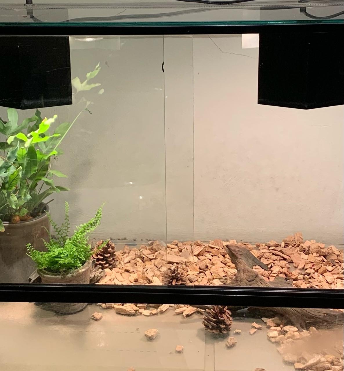 Terrarium