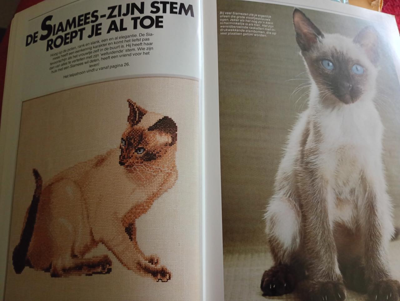 Poes in kruissteek boek