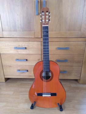 Gitaar