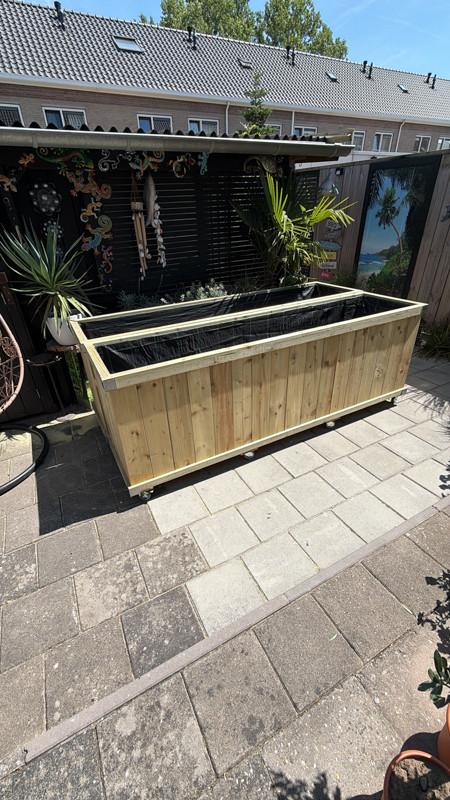 Zeeuwse robuuste bloembak - L235 x B60 x H85