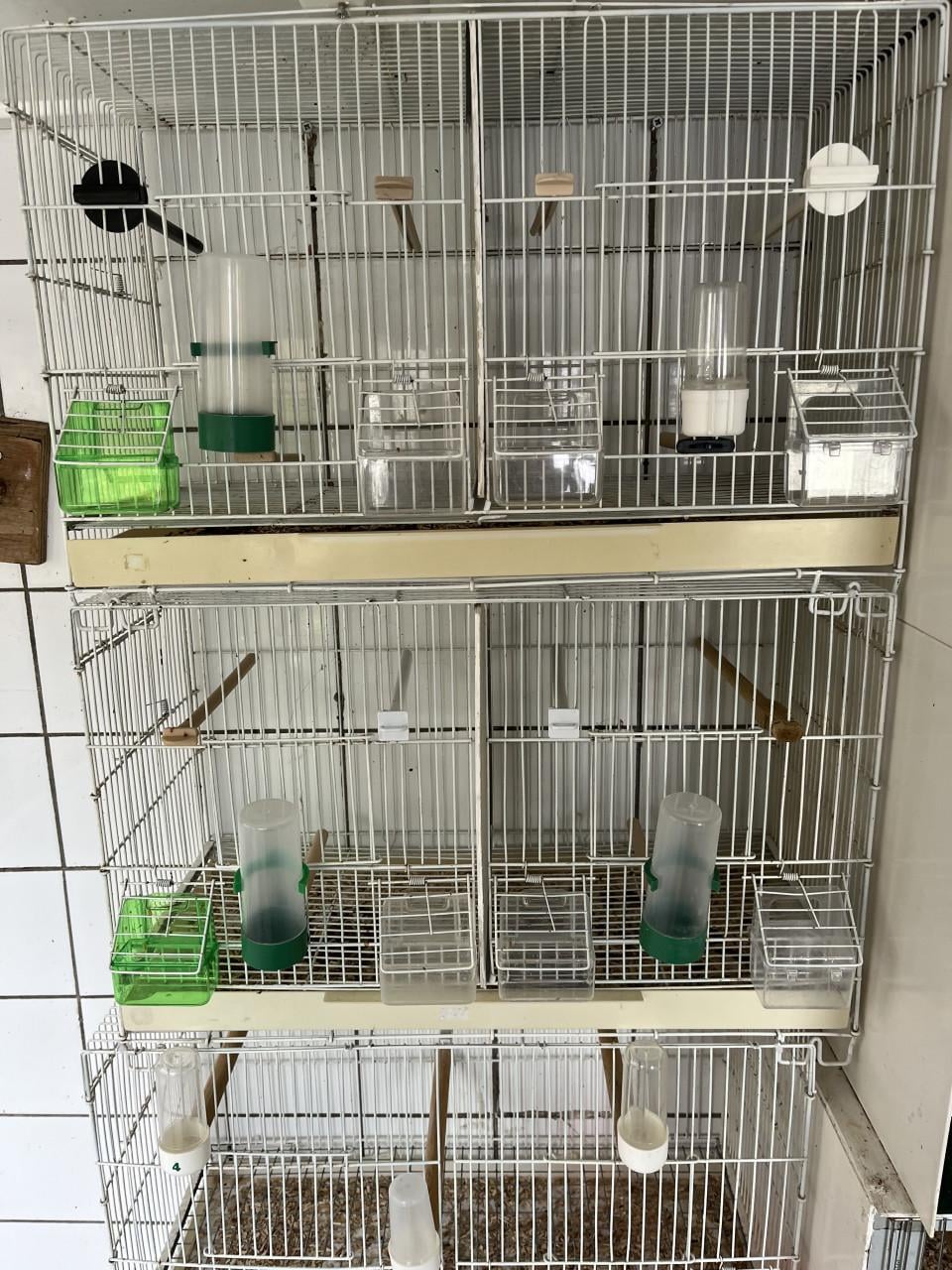 Vogelkooi. Draad kooien