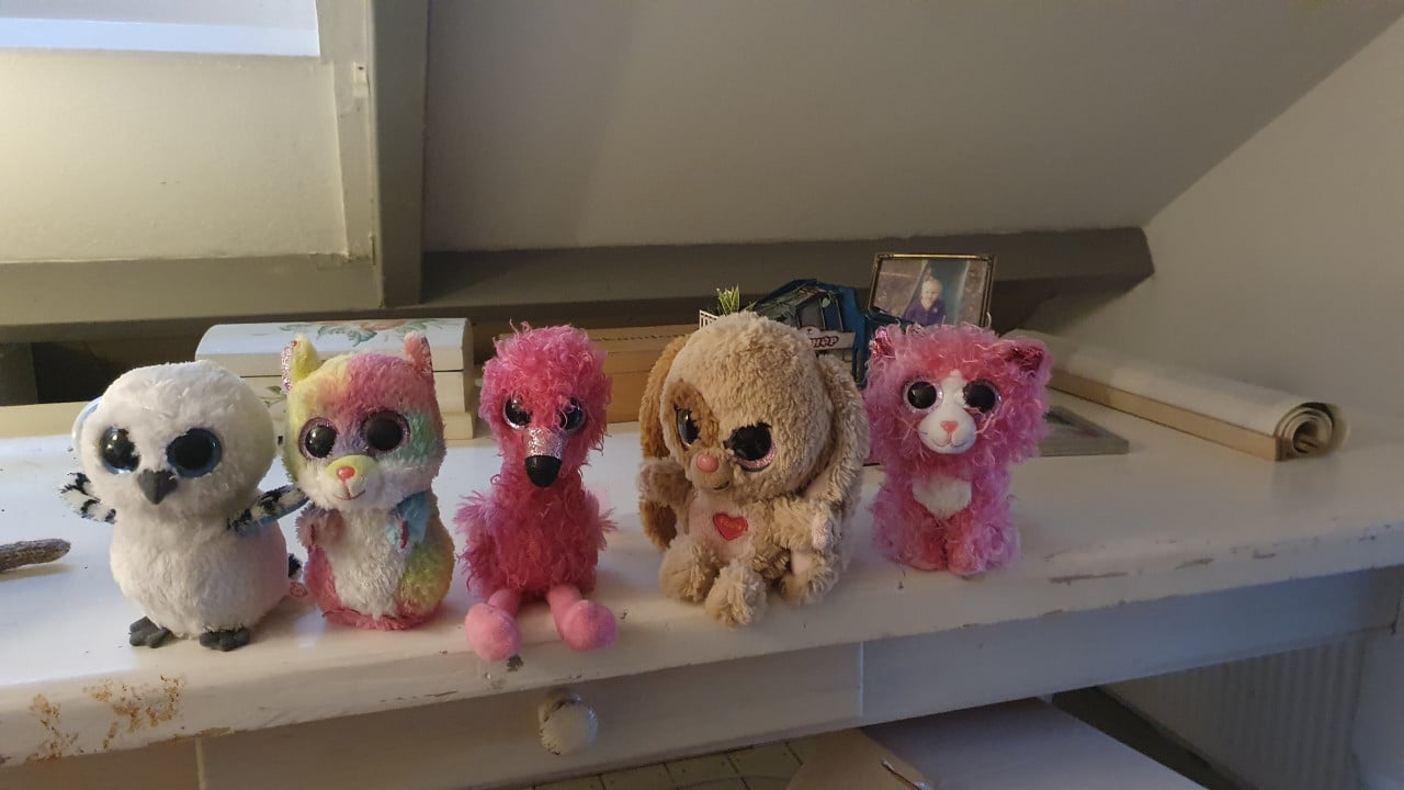Ty knuffels