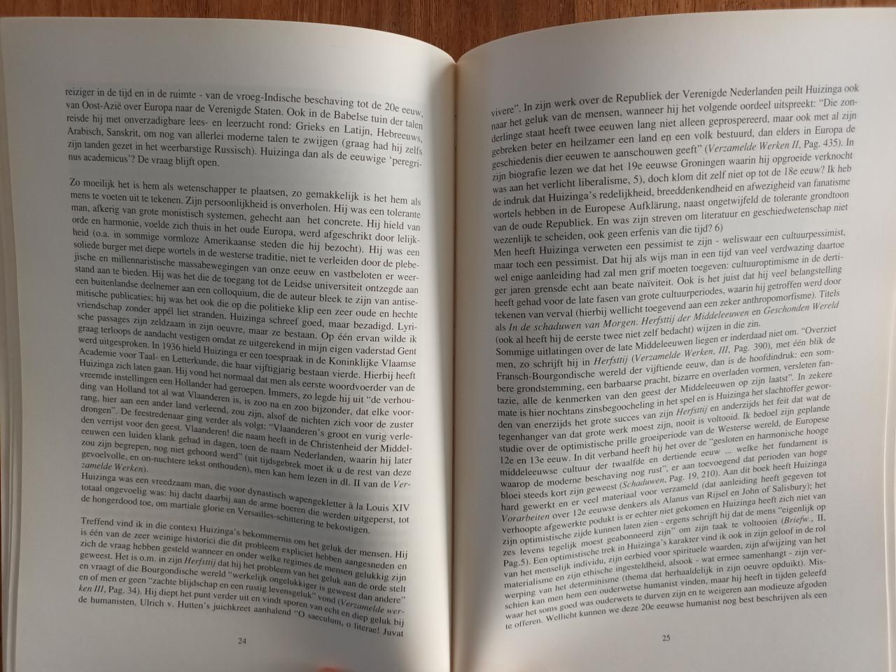 Door de ogen van Huizinga