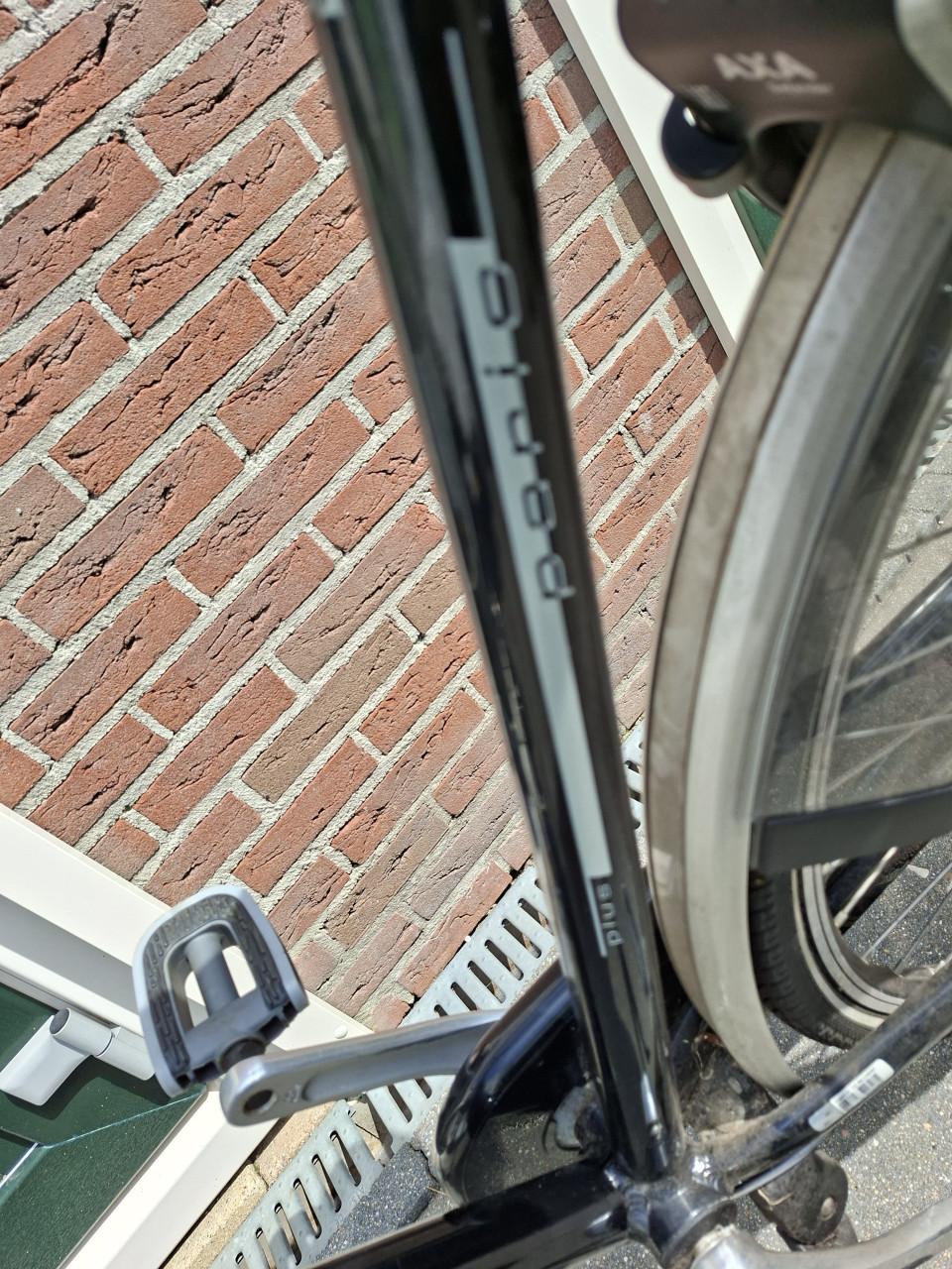 Gazelle herenfiets voor grote personen