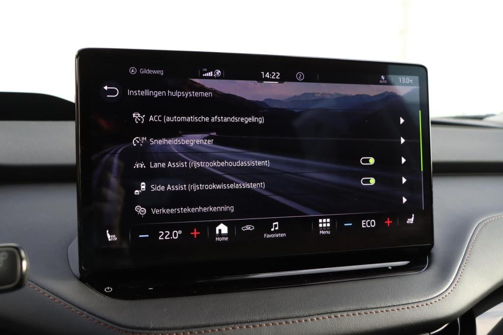 Skoda Enyaq Iv 80 limited edition plus 204pk