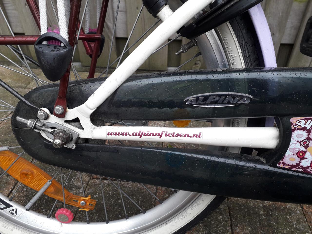 Alpina meisjesfiets 20 inch