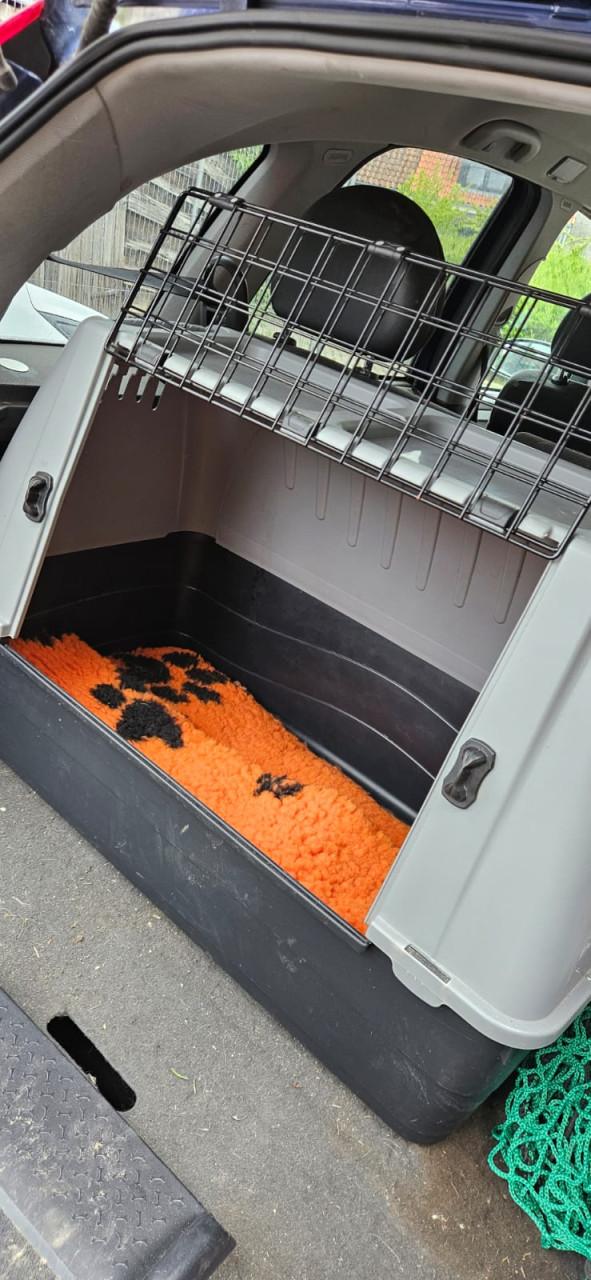 Lichtgewicht autobench hond