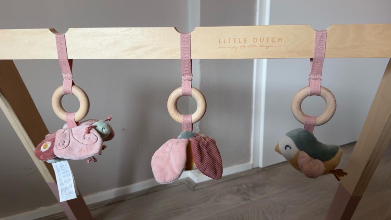 Little Dutch Fairy Garden Babygym
