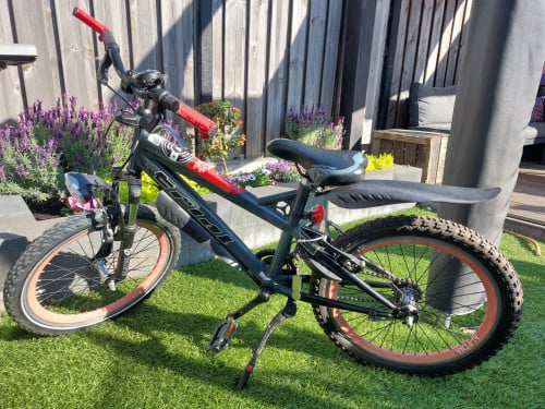 Kinderfiets 16Inch Alpine