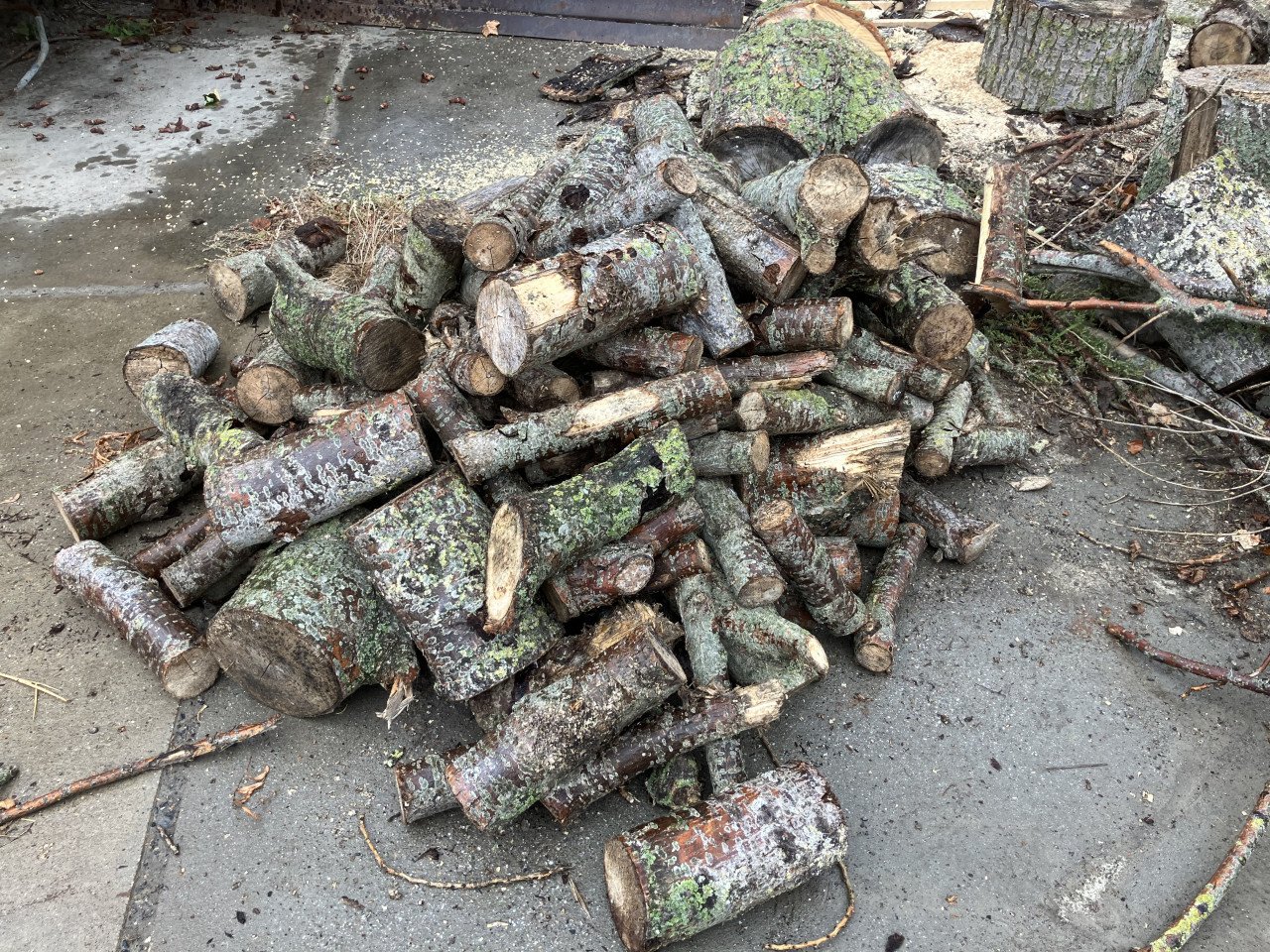 Goedkoop Haardhout