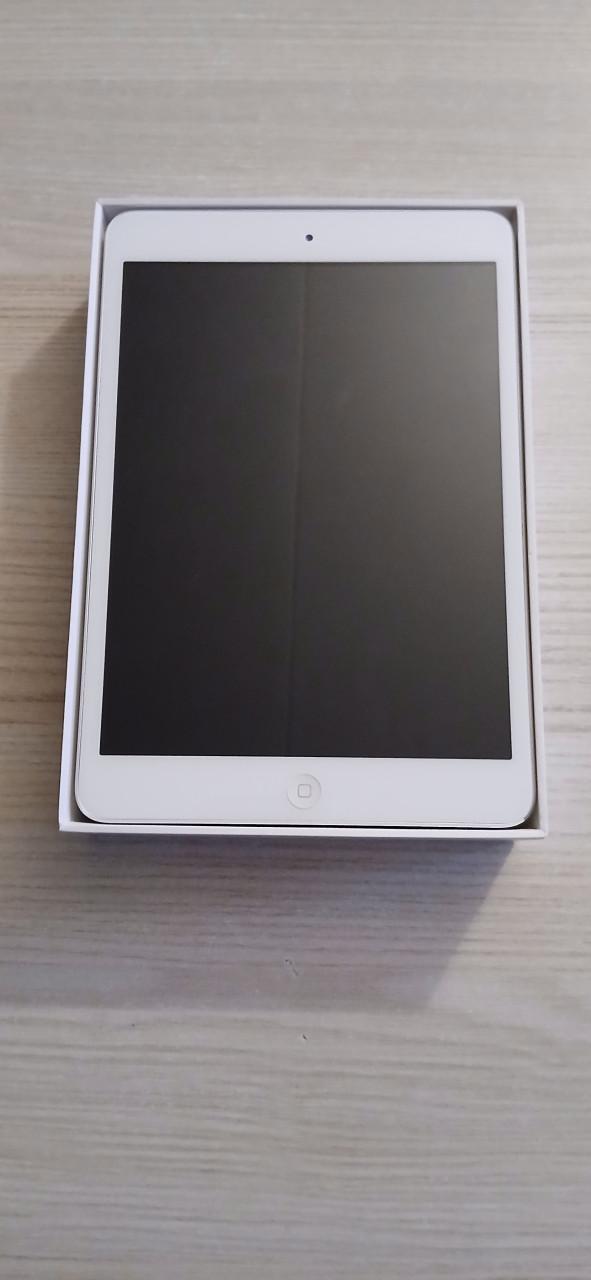 Mini ipad