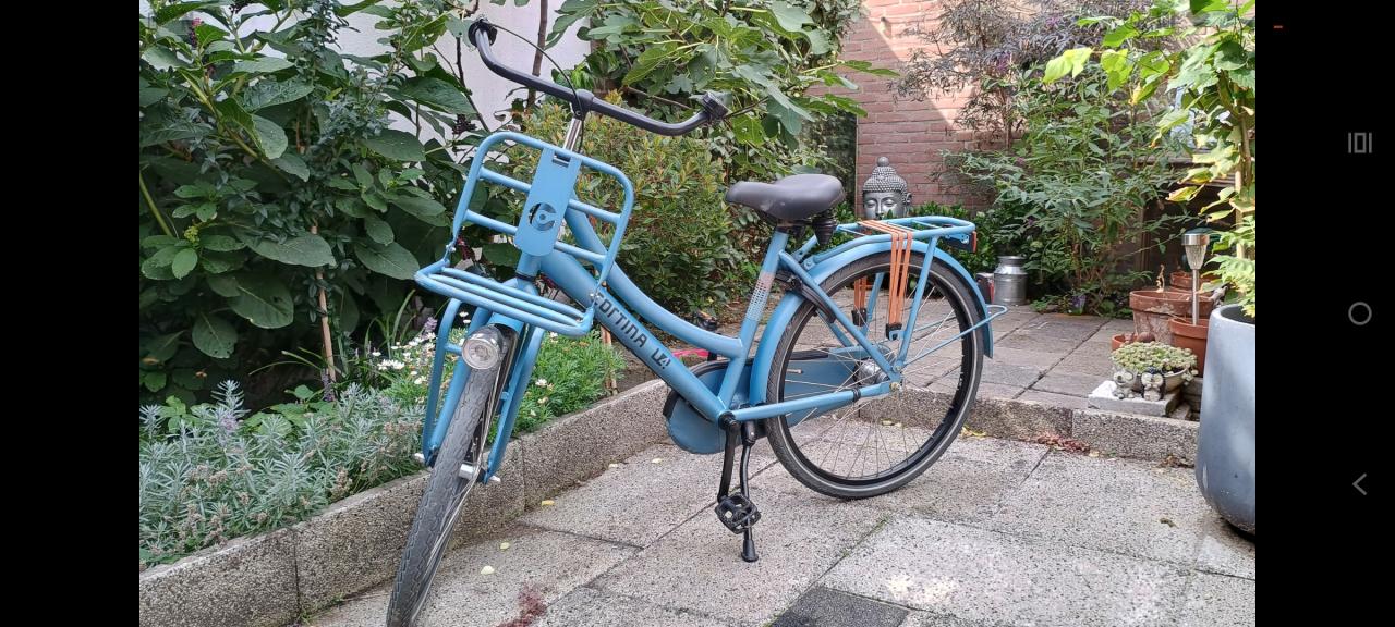 Cortina meisjes fiets 24inch