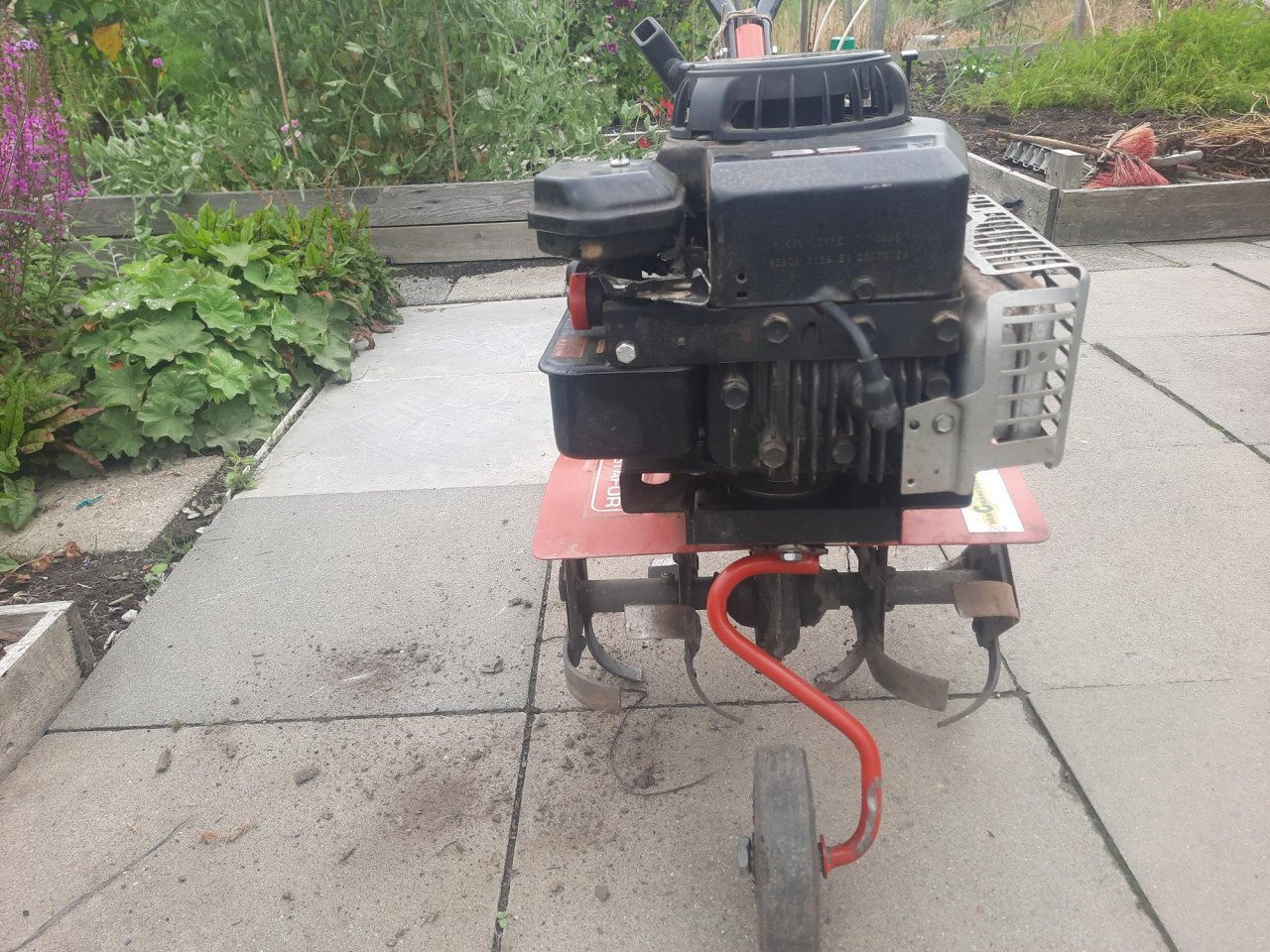 Tuinfrees