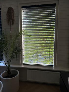 Jaloezieën zwart (x5)