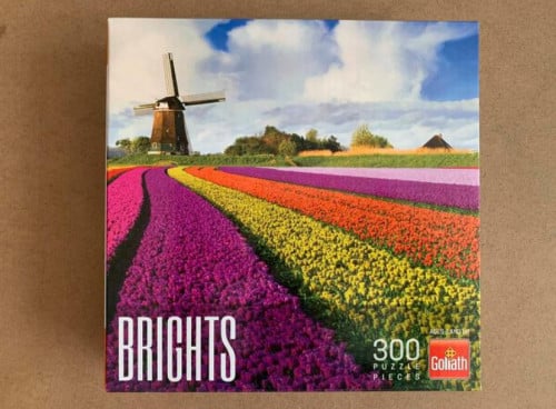 Puzzel 300 stukjes