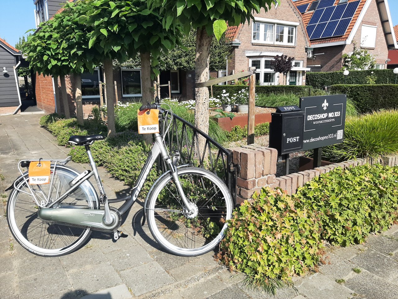 Damesfiets merk Giant
