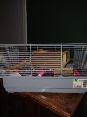 Hamsterkooi