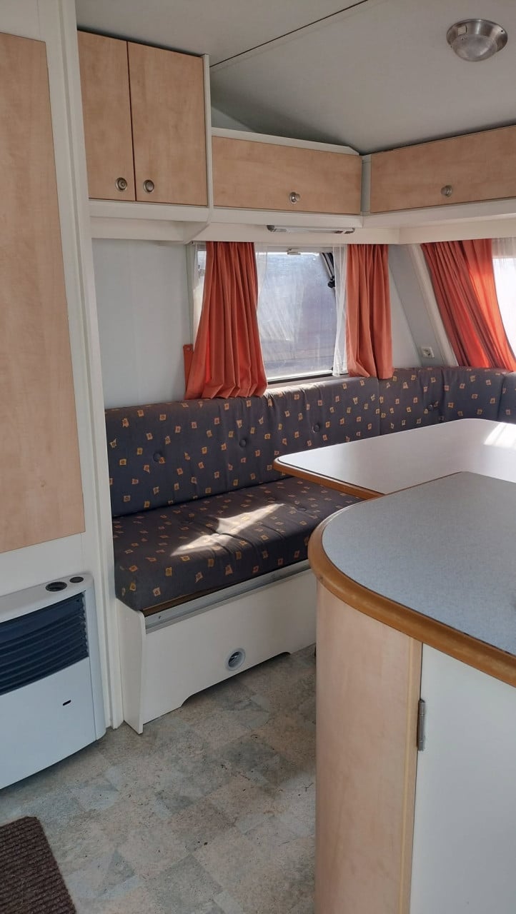 SCHITTERENDE Kip Greyline met voortent