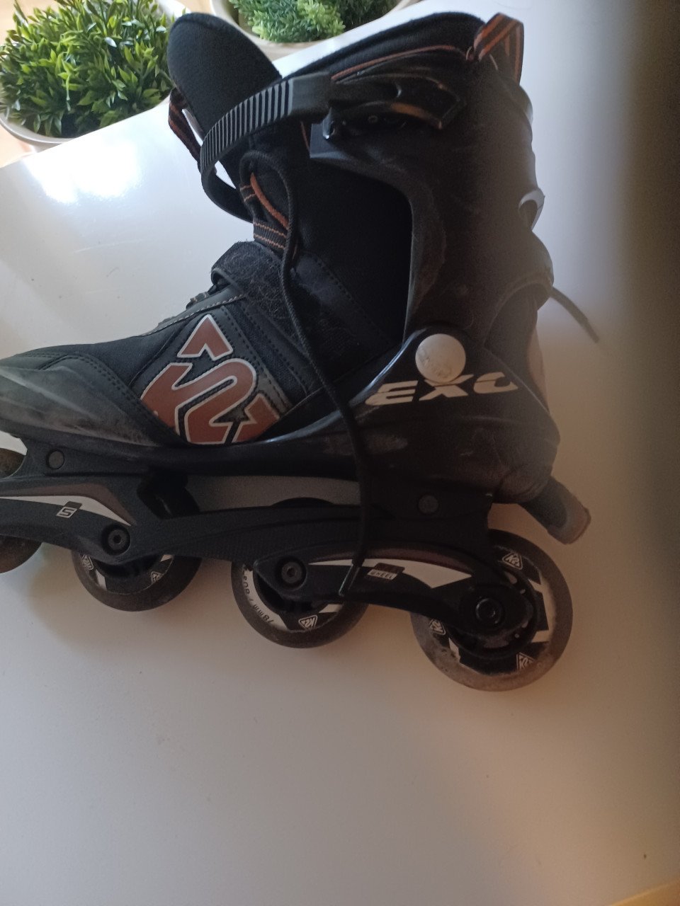 Skeelers