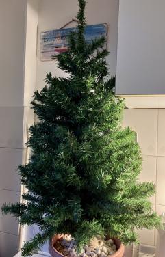 Kerstboom en versiering