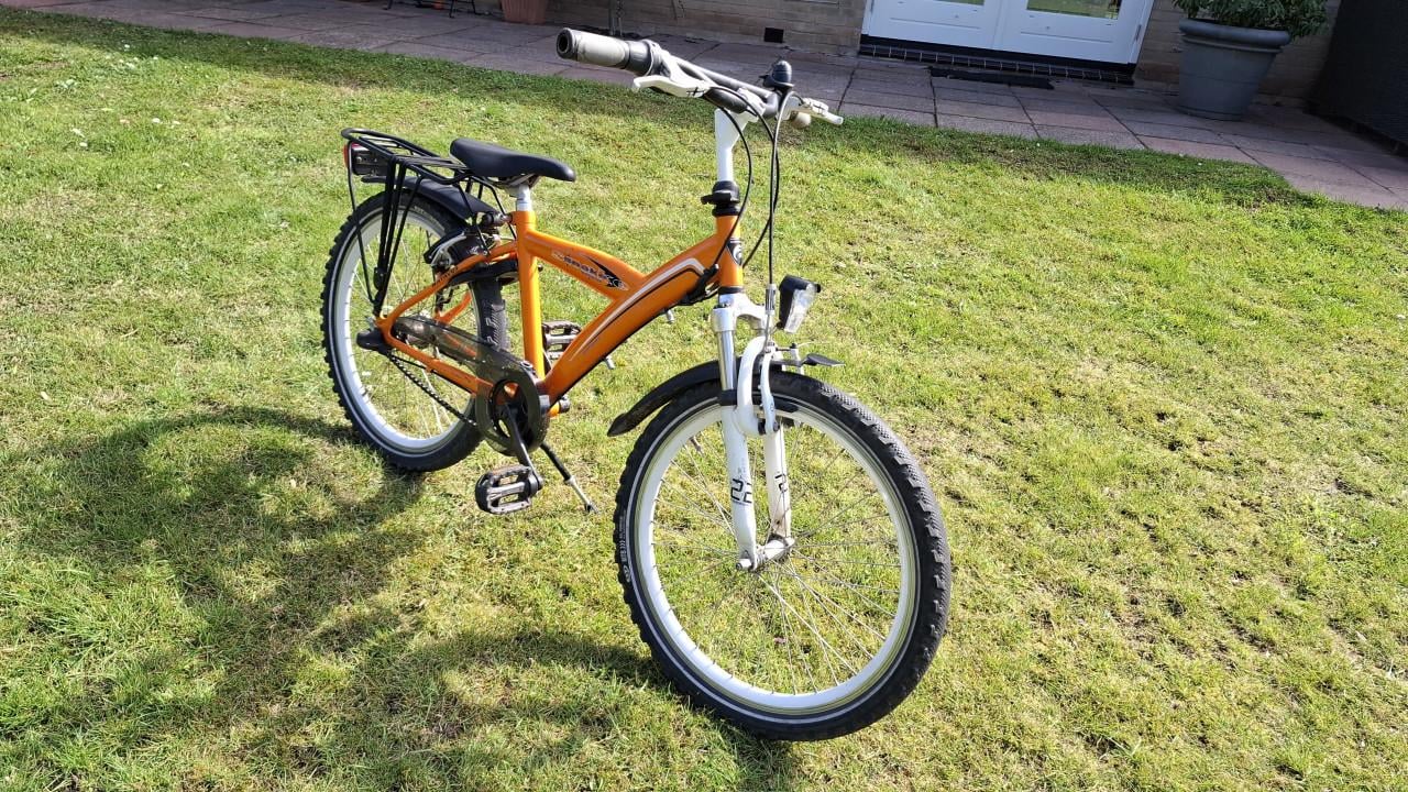 Batavus Snake 22 inch