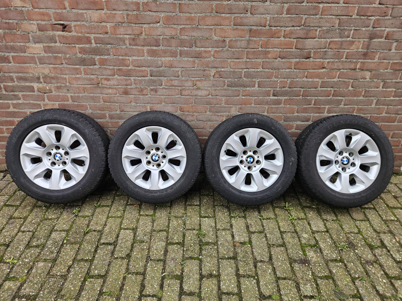 BMW Styling 115 Winterwielen
