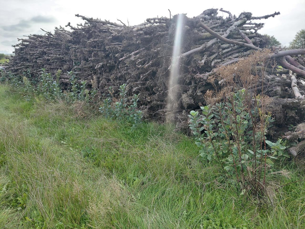 Openhaard / kachel hout