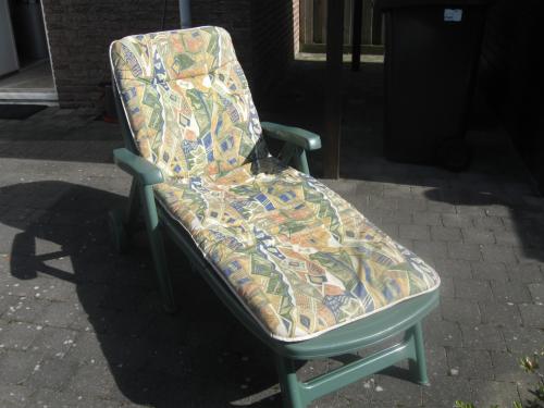 Kunststof ligstoel + kussen