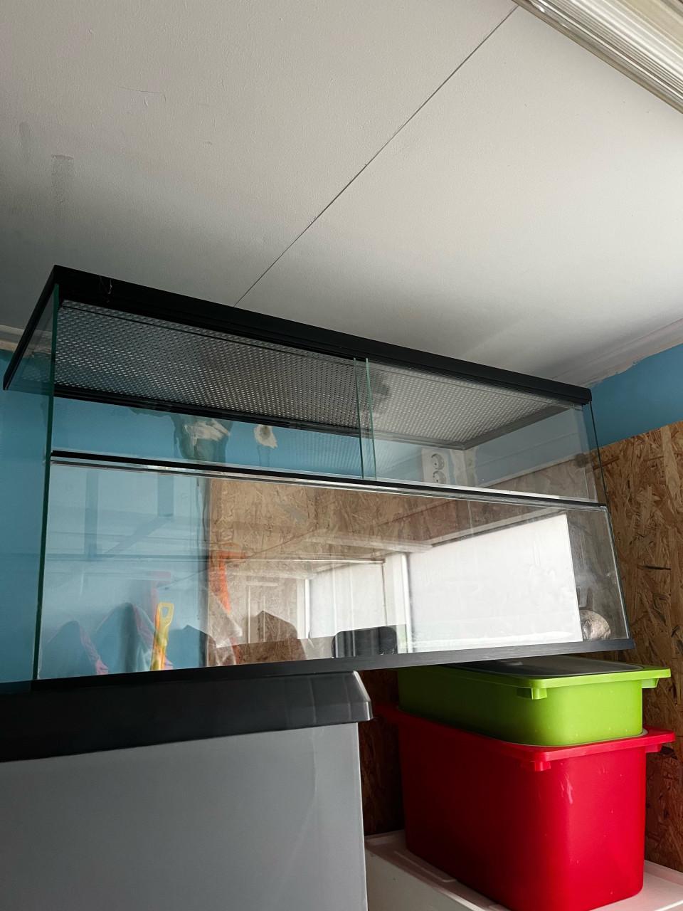 Hamster/ muizen terrarium