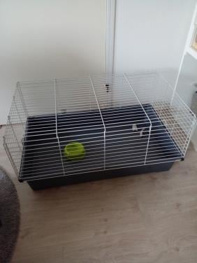2 x Cavia/konijnenkooien: 1 x 100 x 60cm / 1 x 80 x 50cm