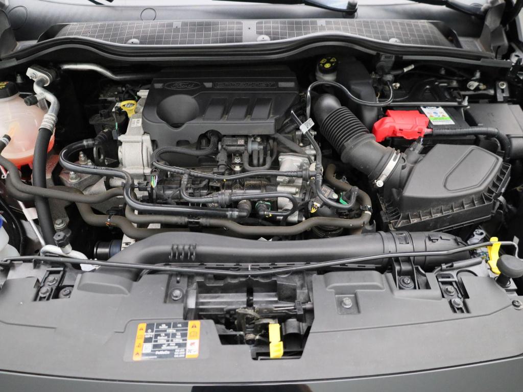 Ford Fiesta 1.0 ecoboost st-line | cruise control | climate control | winte