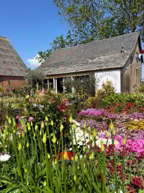 PLANTENKWEKERIJ ‘t GROENE LAND- Moederdagcadeaus