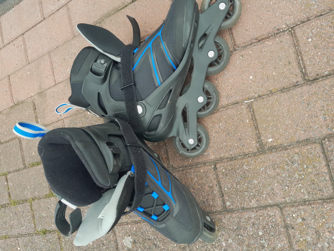 Skeelers, maat 40,5